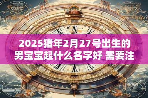 2025猪年2月27号出生的男宝宝起什么名字好 需要注意什么