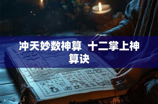 冲天妙数神算  十二掌上神算诀