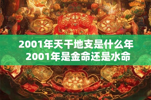 详细阅读:2001年天干地支是什么年 2001年是金命还是水命 2001年天干地支是什么年 2001年是金命还是水命