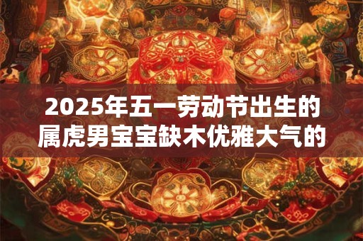 2025年五一劳动节出生的属虎男宝宝缺木优雅大气的名字