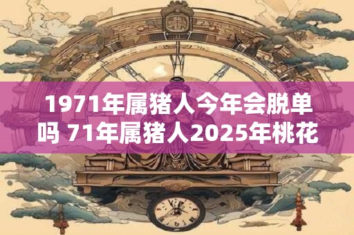 1971年属猪人今年会脱单吗 71年属猪人2025年桃花运