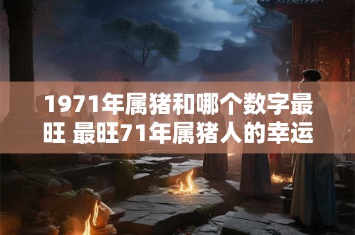 1971年属猪和哪个数字最旺 最旺71年属猪人的幸运数字