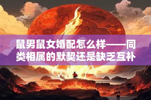 鼠男鼠女婚配怎么样——同类相属的默契还是缺乏互补之道