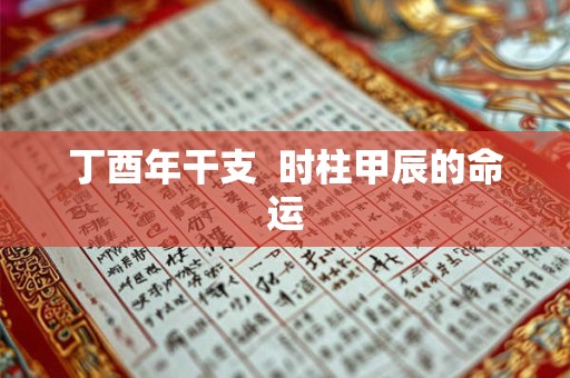 丁酉年干支  时柱甲辰的命运 丁酉年干支  时柱甲辰的命运