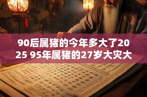 90后属猪的今年多大了2025 95年属猪的27岁大灾大难