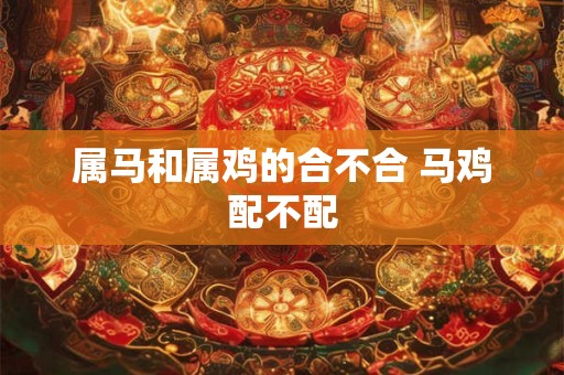 属马和属鸡的合不合 马鸡配不配