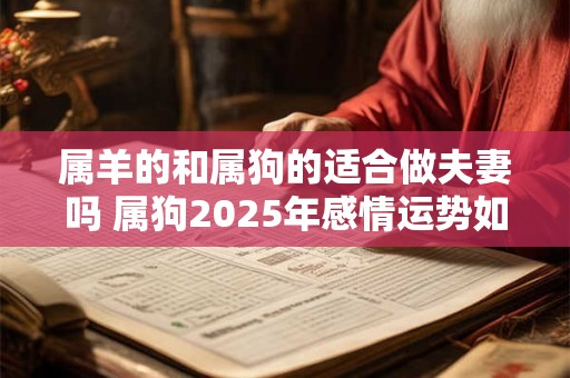 属羊的和属狗的适合做夫妻吗 属狗2025年感情运势如何