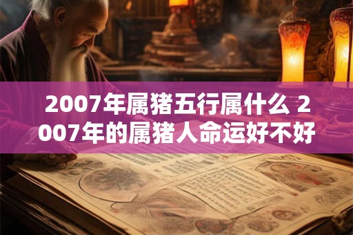 2007年属猪五行属什么 2007年的属猪人命运好不好