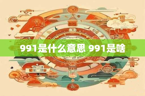 991是什么意思 991是啥