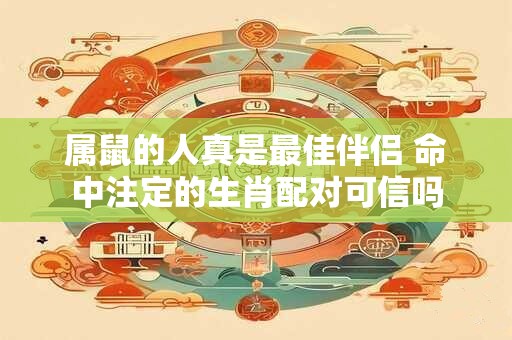 属鼠的人真是最佳伴侣 命中注定的生肖配对可信吗