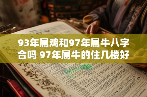 93年属鸡和97年属牛八字合吗 97年属牛的住几楼好