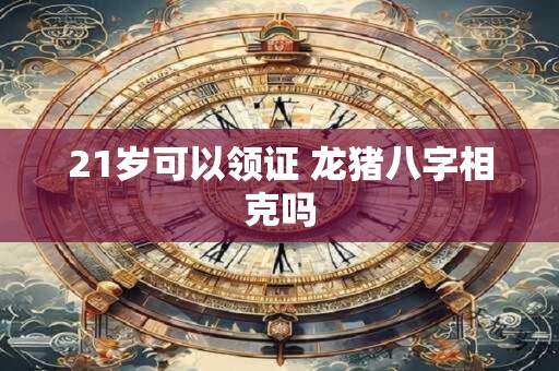 21岁可以领证 龙猪八字相克吗