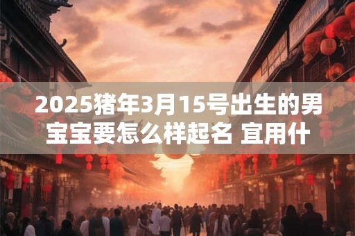 2025猪年3月15号出生的男宝宝要怎么样起名 宜用什么字