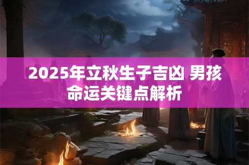 2025年立秋生子吉凶 男孩命运关键点解析