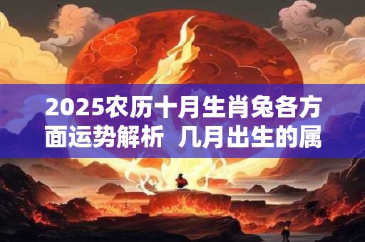2025农历十月生肖兔各方面运势解析  几月出生的属兔人命好