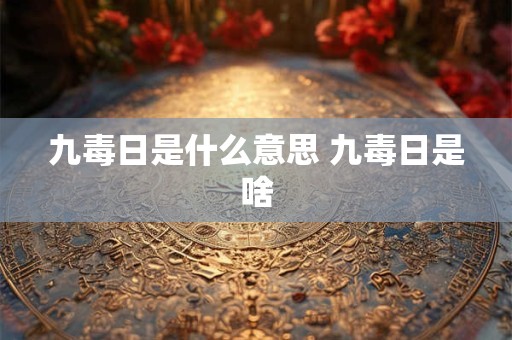 九毒日是什么意思 九毒日是啥