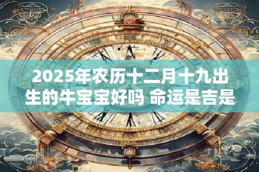 2026年农历十二月十九出生的牛宝宝好吗 命运是吉是凶