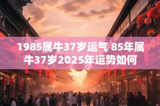1985属牛37岁运气 85年属牛37岁2025年运势如何