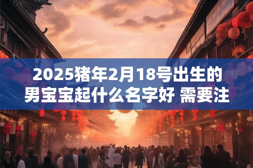 2025猪年2月18号出生的男宝宝起什么名字好 需要注意什么