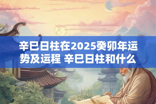 辛巳日柱在2025癸卯年运势及运程 辛巳日柱和什么日柱最配