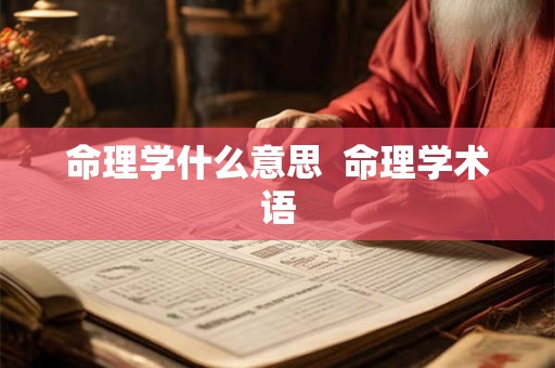 命理学什么意思  命理学术语