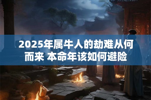 2025年属牛人的劫难从何而来 本命年该如何避险