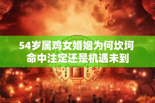 54岁属鸡女婚姻为何坎坷 命中注定还是机遇未到