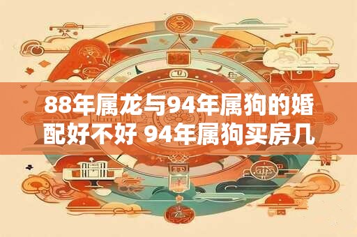 88年属龙与94年属狗的婚配好不好 94年属狗买房几层最好