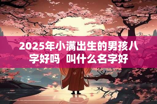 2025年小满出生的男孩八字好吗  叫什么名字好