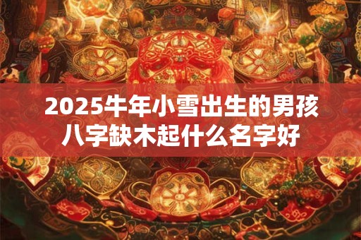 2025牛年小雪出生的男孩八字缺木起什么名字好