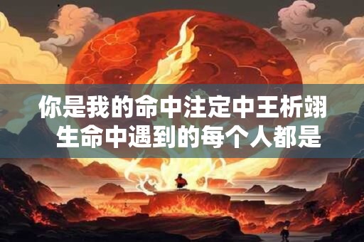 你是我的命中注定中王析翊  生命中遇到的每个人都是命中注定