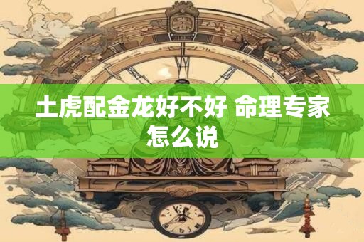 土虎配金龙好不好 命理专家怎么说