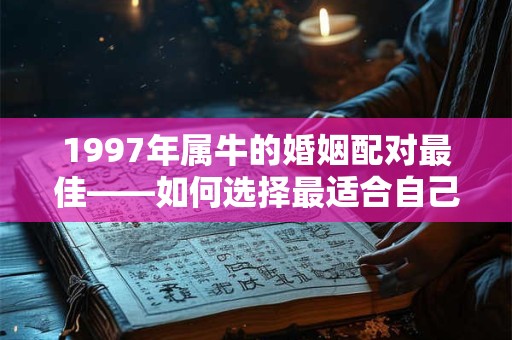 1997年属牛的婚姻配对最佳——如何选择最适合自己的对象