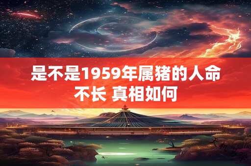 是不是1959年属猪的人命不长 真相如何