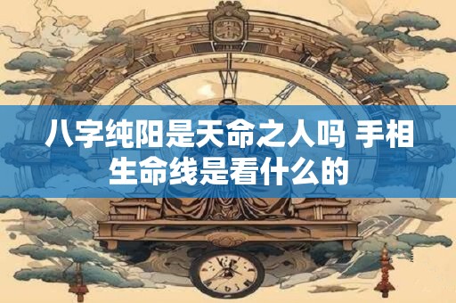 八字纯阳是天命之人吗 手相生命线是看什么的