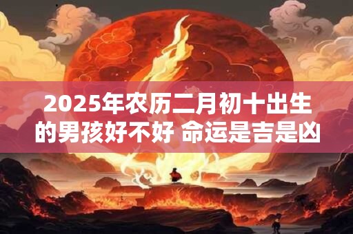2025年农历二月初十出生的男孩好不好 命运是吉是凶
