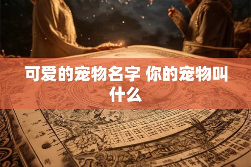 可爱的宠物名字 你的宠物叫什么