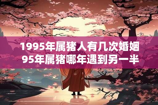 1995年属猪人有几次婚姻 95年属猪哪年遇到另一半
