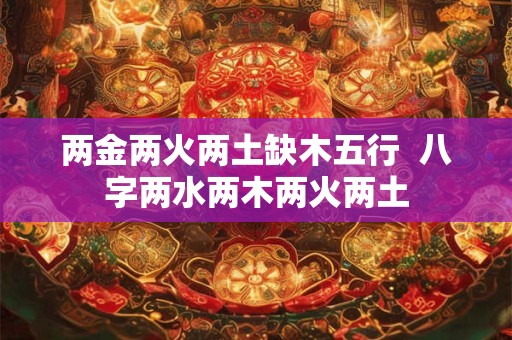 两金两火两土缺木五行  八字两水两木两火两土