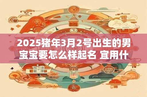 2025猪年3月2号出生的男宝宝要怎么样起名 宜用什么字