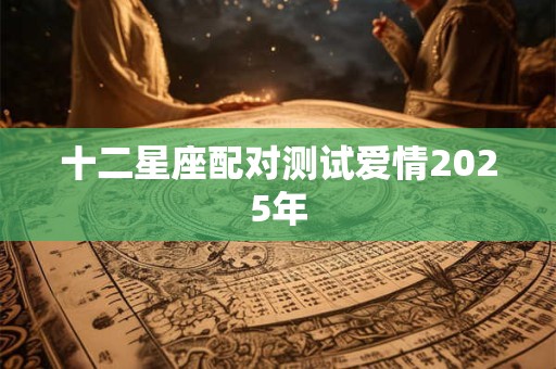 十二星座配对测试爱情2025年