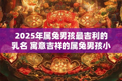 2026年属兔男孩最吉利的乳名 寓意吉祥的属兔男孩小名