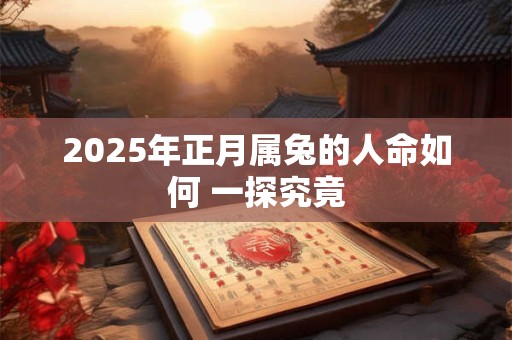 2025年正月属兔的人命如何 一探究竟