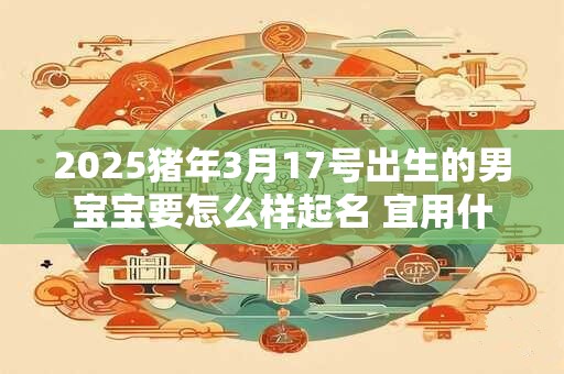 2025猪年3月17号出生的男宝宝要怎么样起名 宜用什么字