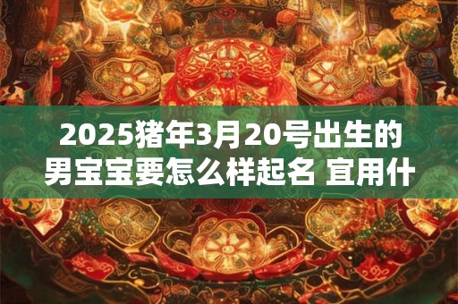 2025猪年3月20号出生的男宝宝要怎么样起名 宜用什么字呢
