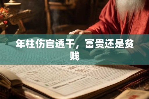 年柱伤官透干，富贵还是贫贱