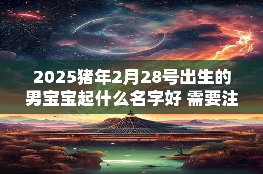 2025猪年2月28号出生的男宝宝起什么名字好 需要注意什么