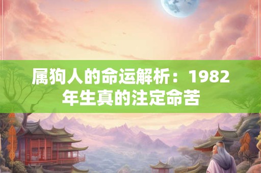 属狗人的命运解析：1982年生真的注定命苦