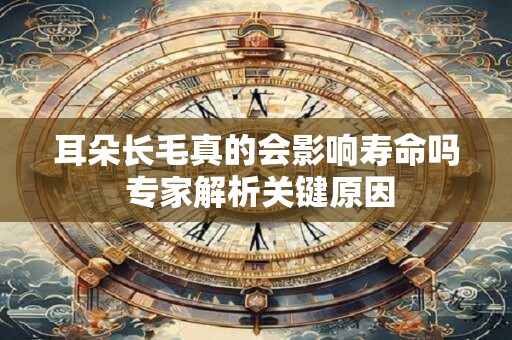 耳朵长毛真的会影响寿命吗 专家解析关键原因