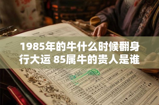 1985年的牛什么时候翻身行大运 85属牛的贵人是谁